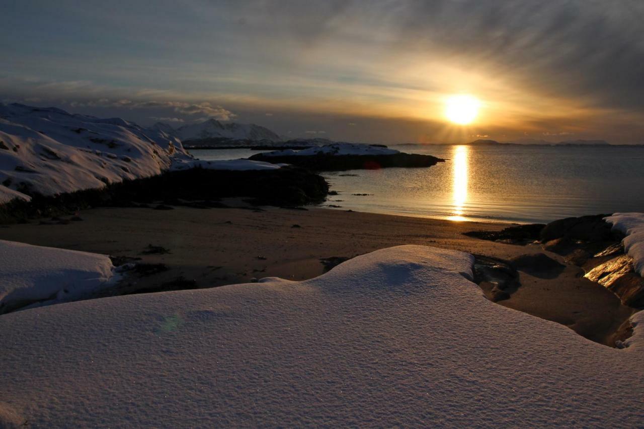 Superior Cottage With Sea View In Senja Senjehesten Exterior foto