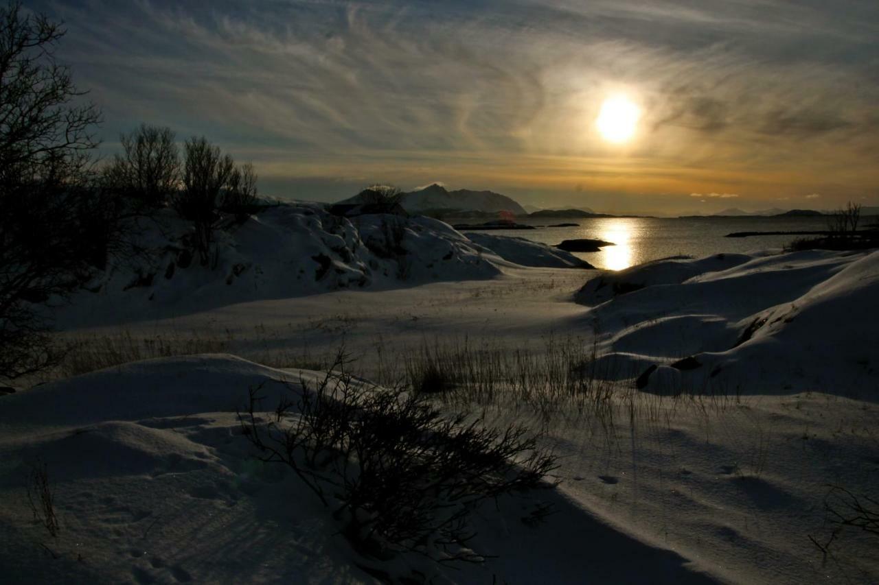 Superior Cottage With Sea View In Senja Senjehesten Exterior foto